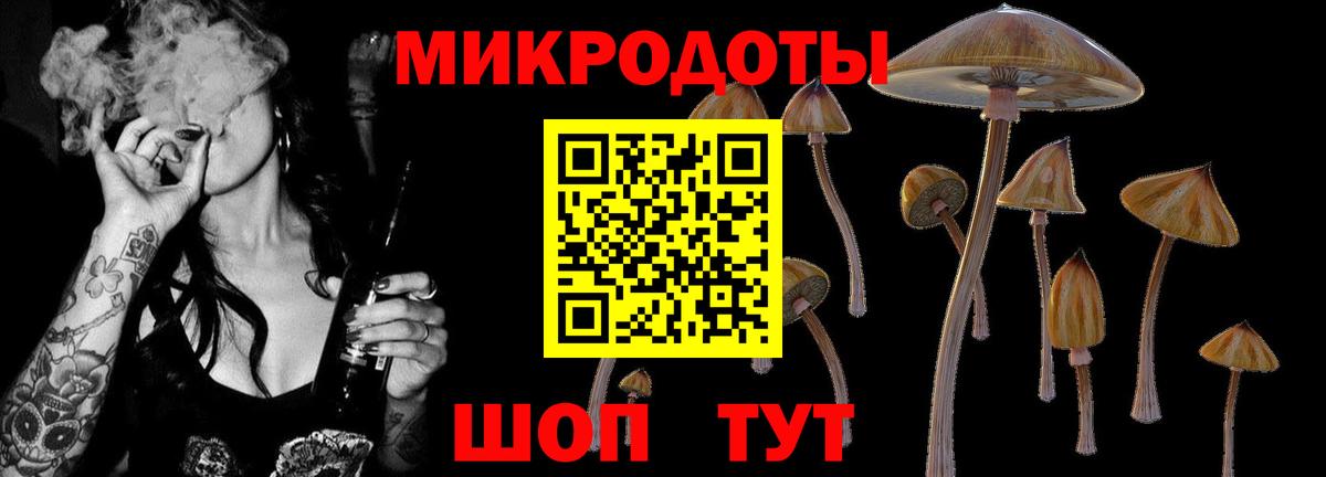 Галлюциногенные грибы мухоморы Азнакаево